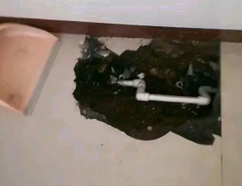 塔什库尔干塔吉克卫生间测漏水多少钱